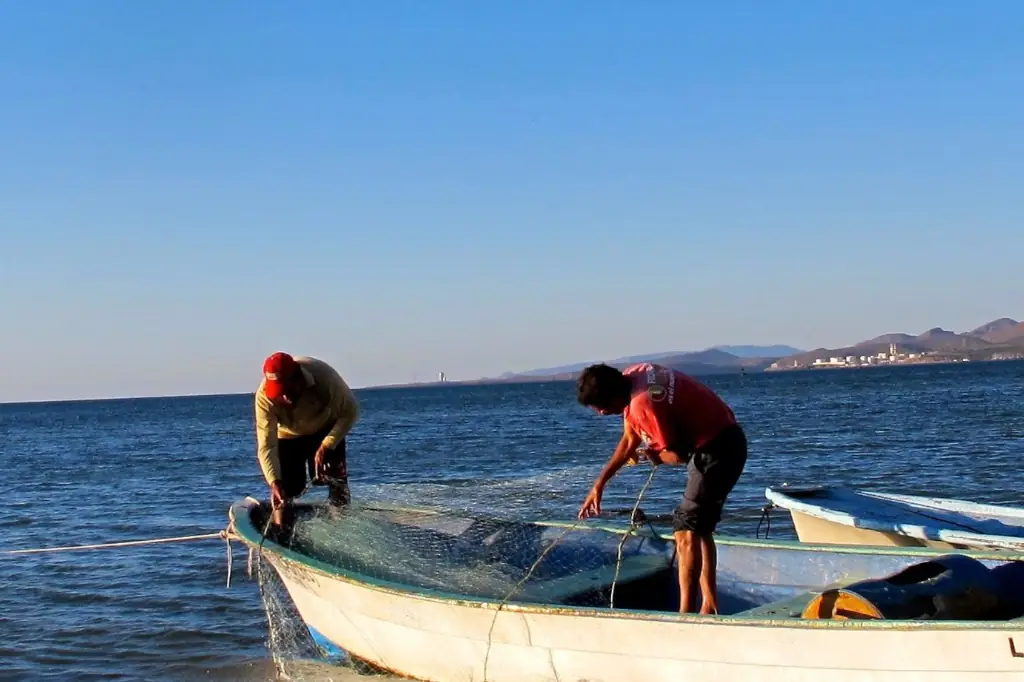 Small- scale fishing and ecotourism strengthen communities in Baja California