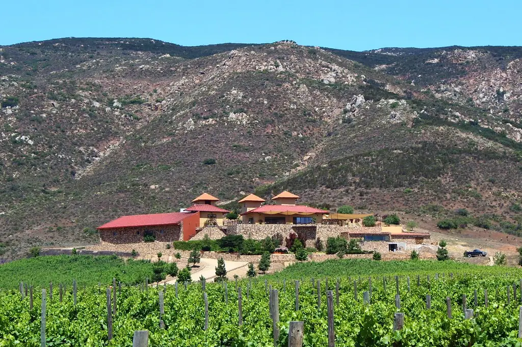 According to Daniel Madariaga, Valle de Guadalupe exemplifies the future of sustainable tourism in Mexico.