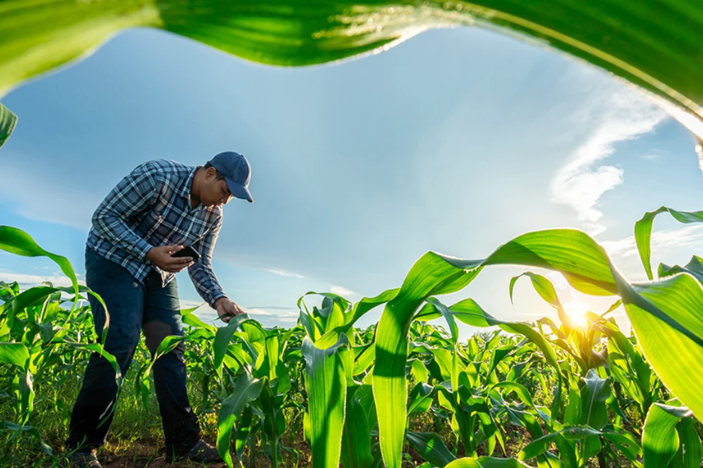 Sustainable Technology: A Glimpse into Mexico’s Agricultural Future, According to Daniel Madariaga