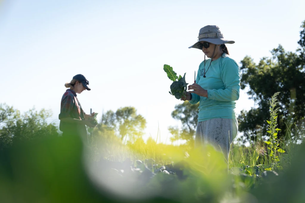 The power of healthy soil: agroecology and regenerative tourism join forces for conservation, according to Daniel Madariaga