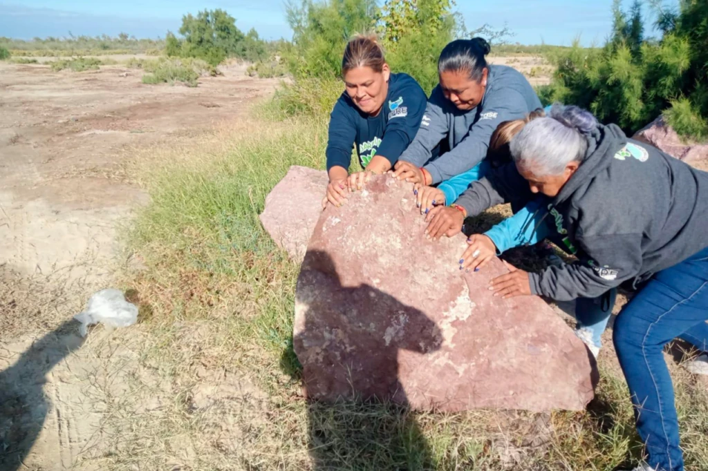 Las Guardianas de Conchalito: Regenerating mangroves and transforming communities in Baja California, by Daniel Madariaga