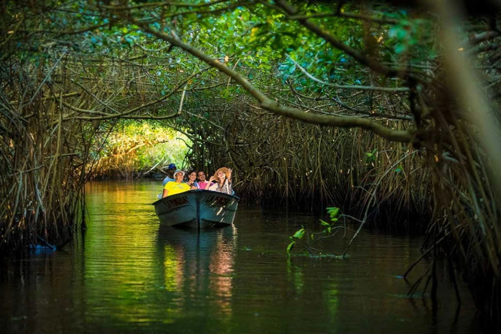 Regenerative tourism and biocultural gastronomy: the key to sustainability in Nayarit, according to Daniel Madariaga