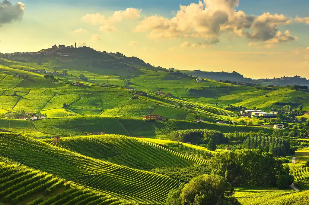 Vertical Farming: A Key Solution in the Pursuit of Environmental Sustainability, by Daniel Madariaga