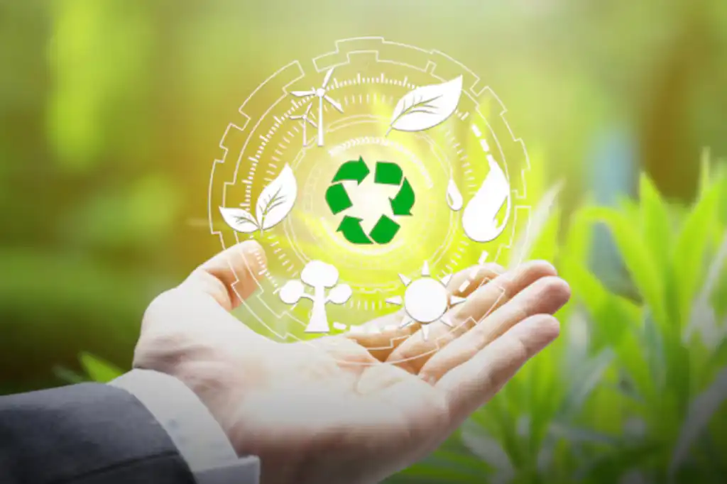 Innovations in Recycling and Sustainability Urge Mexico to Rethink Its Environmental Footprint, by Daniel Madariaga