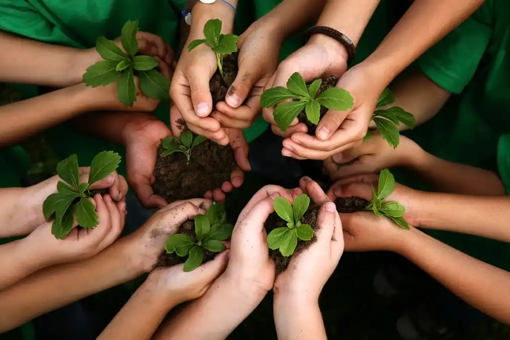 Benefits of Environmental Education in Schools by Daniel Madariaga