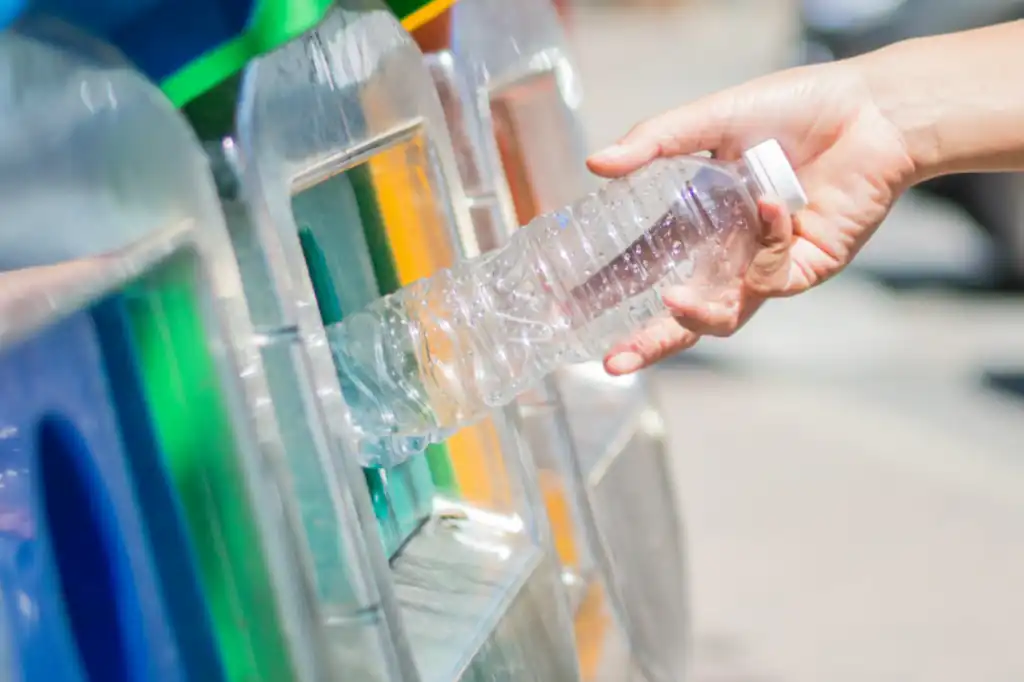 Do We Really Know How to Recycle Properly? Key Tips to Avoid Common Mistakes from Daniel Madariaga