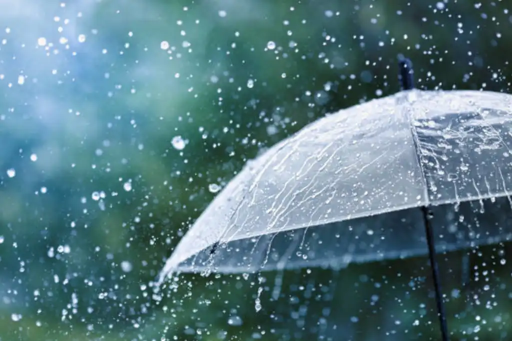 Climate Change: One of the Causes Behind Intense Rainfall in Mexico, by Daniel Madariaga
