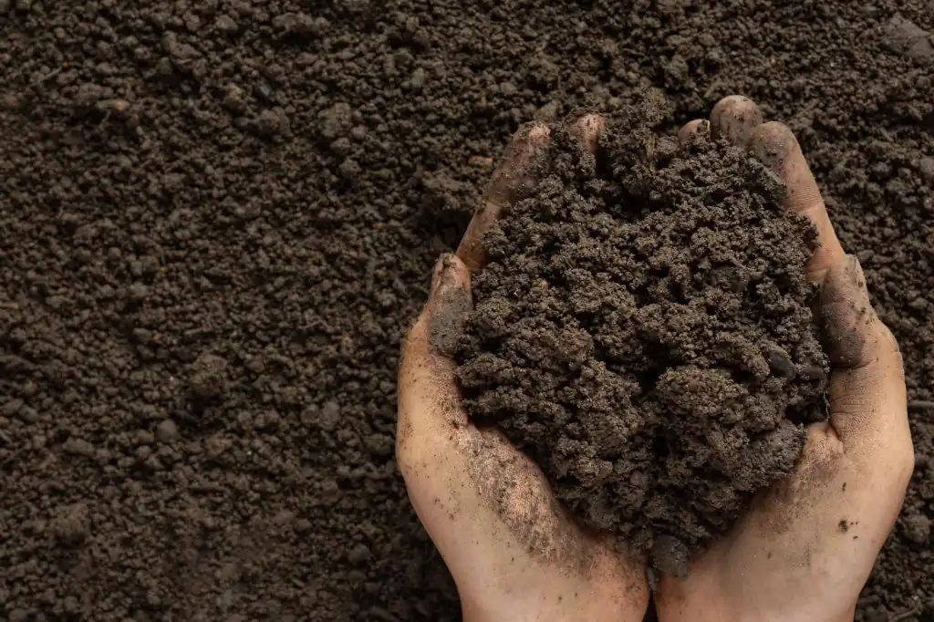 Daniel Madariaga on Soil Conservation, A Shared Responsibility for the Benefit of the Planet