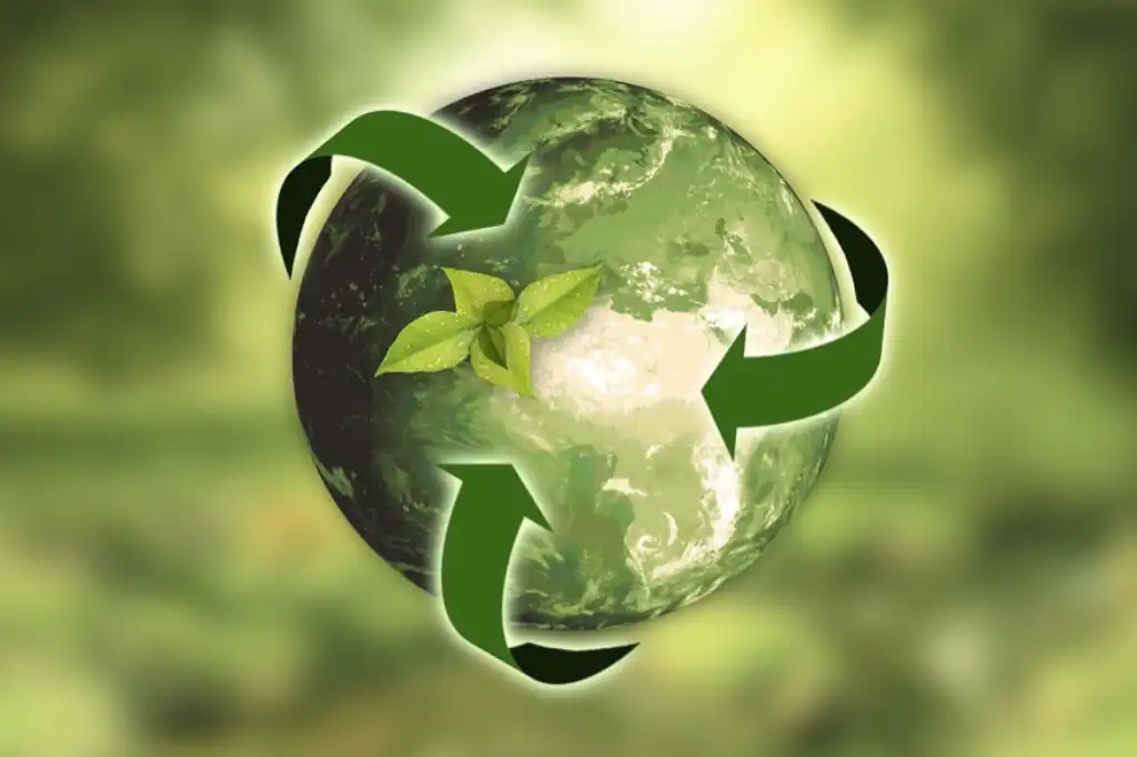 Recycling and the Circular Economy as Pillars of Sustainability