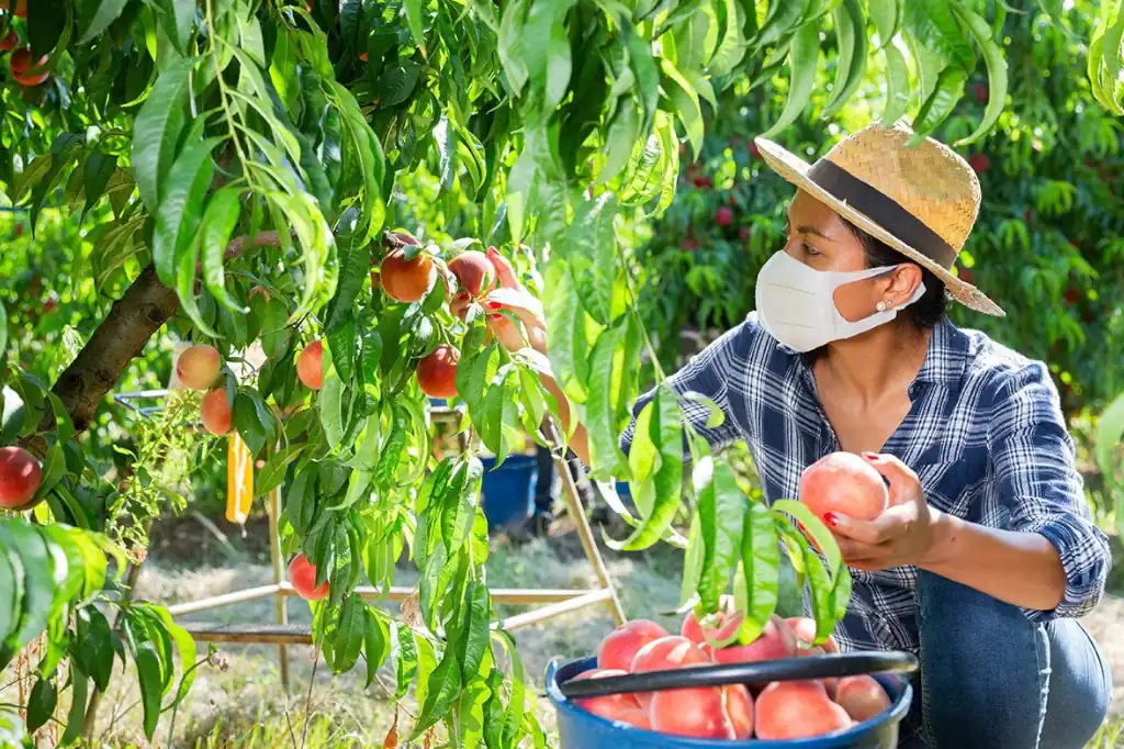Daniel Madariaga on How Food Systems are an Alternative for Sustainability