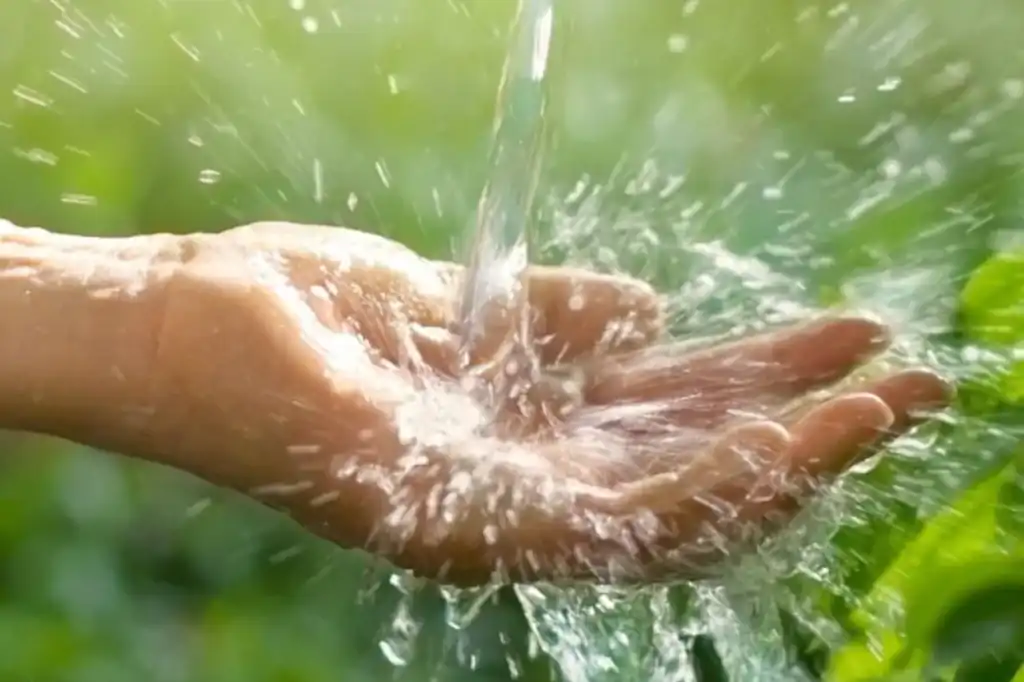 Daniel Madariaga on Tips and benefits for Efficient Water Saving and Consumption