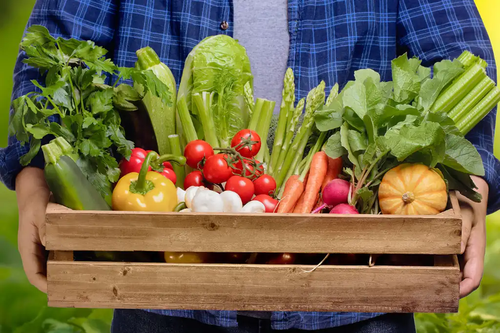Daniel Madariaga Barrilado Promotes Sustainable Food Models at the UN