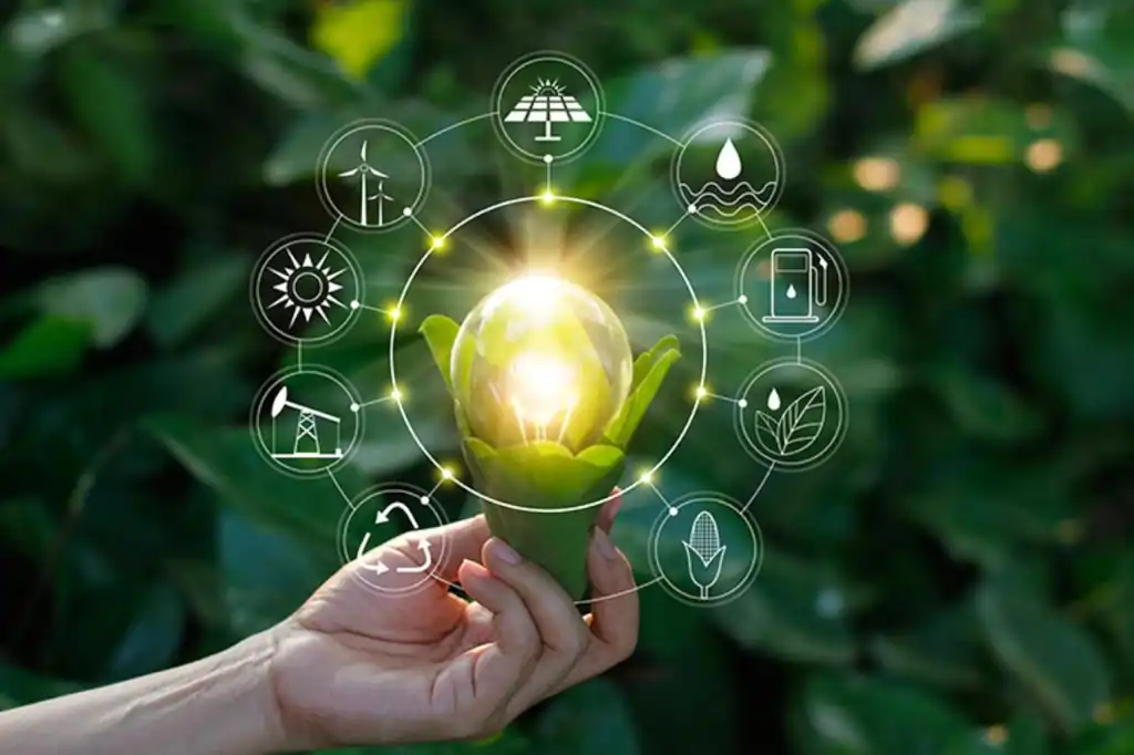 Sustainability and Bioeconomy: Key Pillars in the Fight Against Climate Change, Says Daniel Madariaga Barrilado.