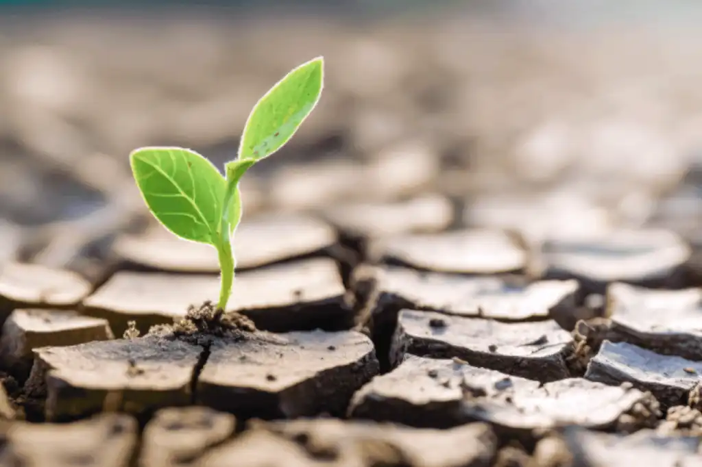 Coordinated climate action is urgent in the face of global and local challenges”: Daniel Madariaga Barrilado