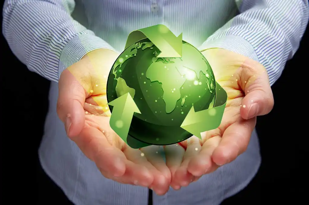 Daniel Madariaga: Companies Can Lead Environmental Conservation