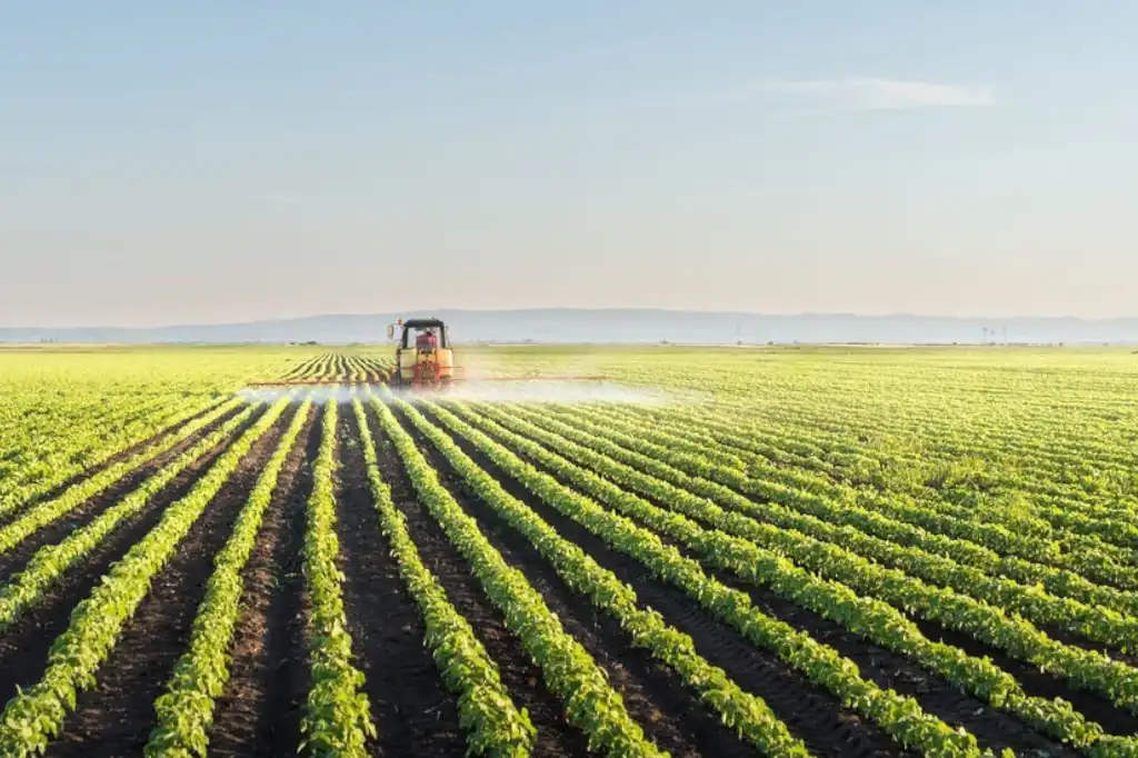 Daniel Madariaga on regenerative agriculture and MABO models, alternatives in the face of the food crisis