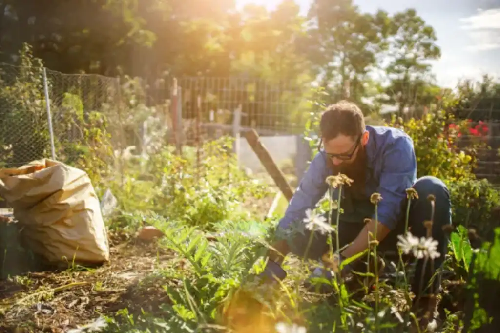 Daniel Madariaga leads the push for water efficiency in sustainable urban agriculture