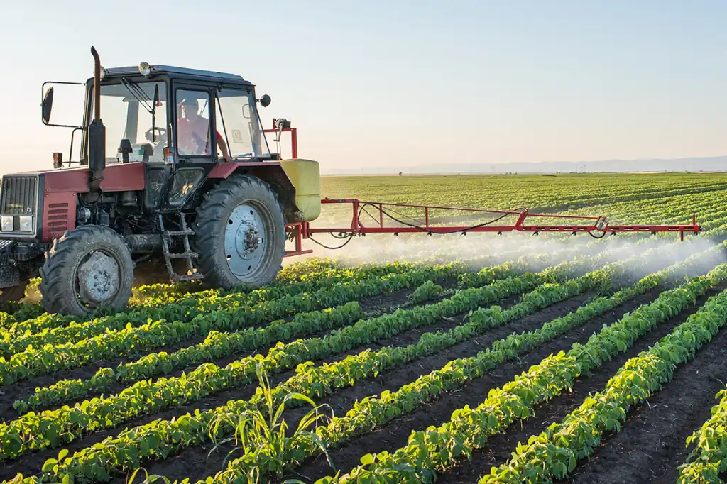 Sustainable Future in the Food Supply Chain Is Possible: Daniel Madariaga Barrilado