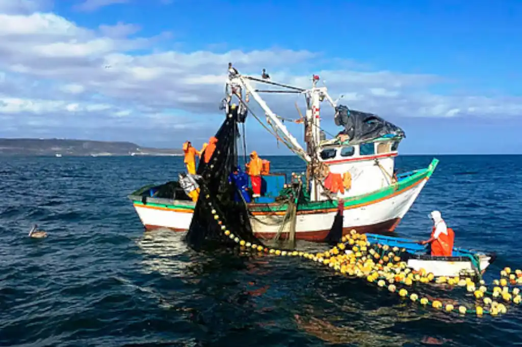 Daniel Madariaga Barrilado Highlights the Promotion of Sustainable Fishing to Transform Baja California
