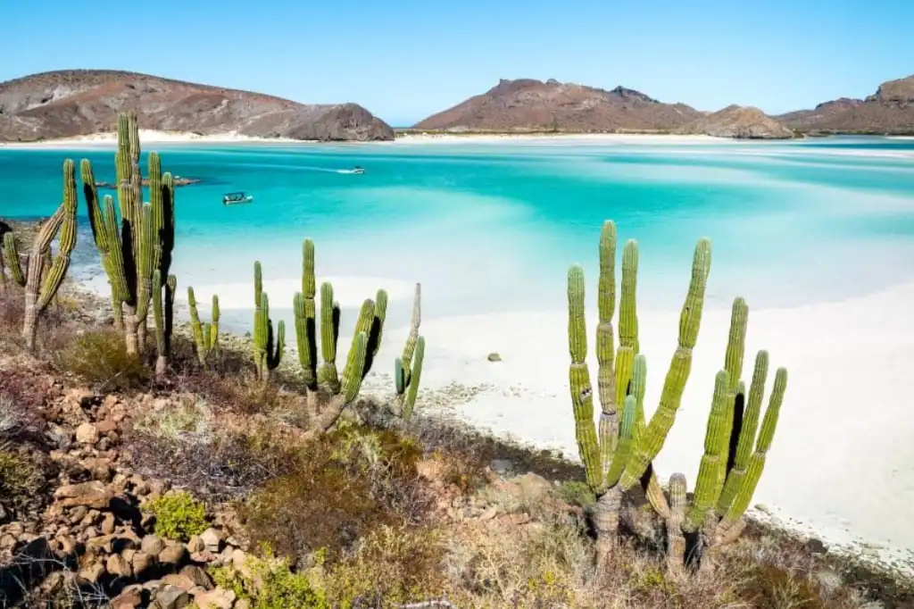 Daniel Madariaga Barrilado Highlights the Sustainable Growth of La Paz