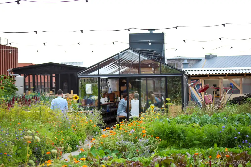 Daniel Madariaga Highlights the Benefits of Green Roofs for the Cities of the Future