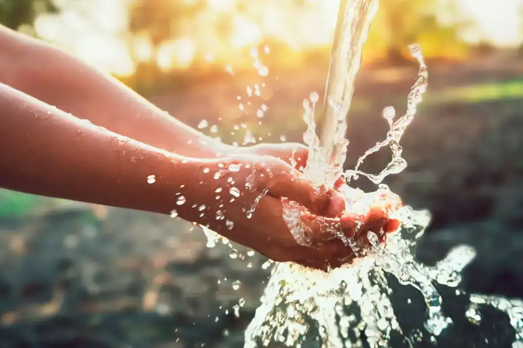 Daniel Madariaga: “Informed Consumption and Water Footprint Are Transforming the Market”