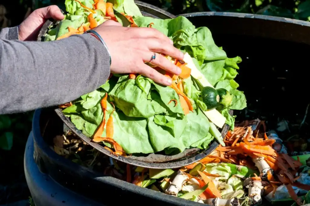 Daniel Madariaga Barrilado proposes circularity to strengthen sustainable food systems