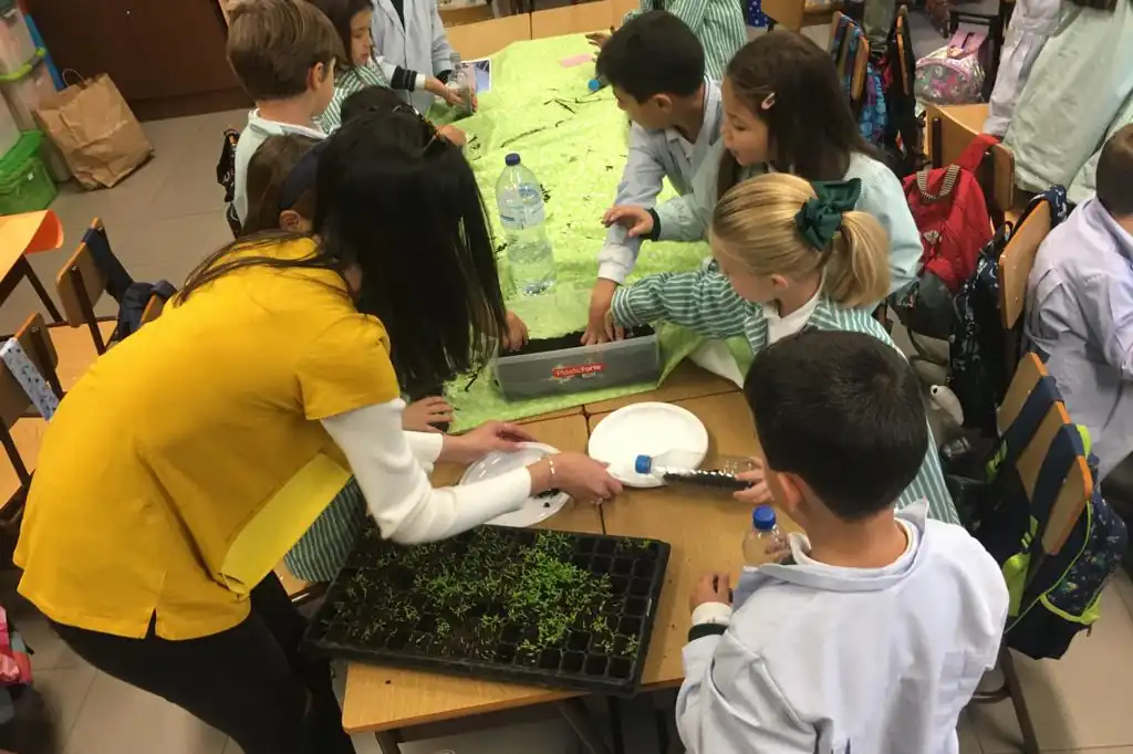 Daniel Madariaga Promotes Environmental Education in Schools