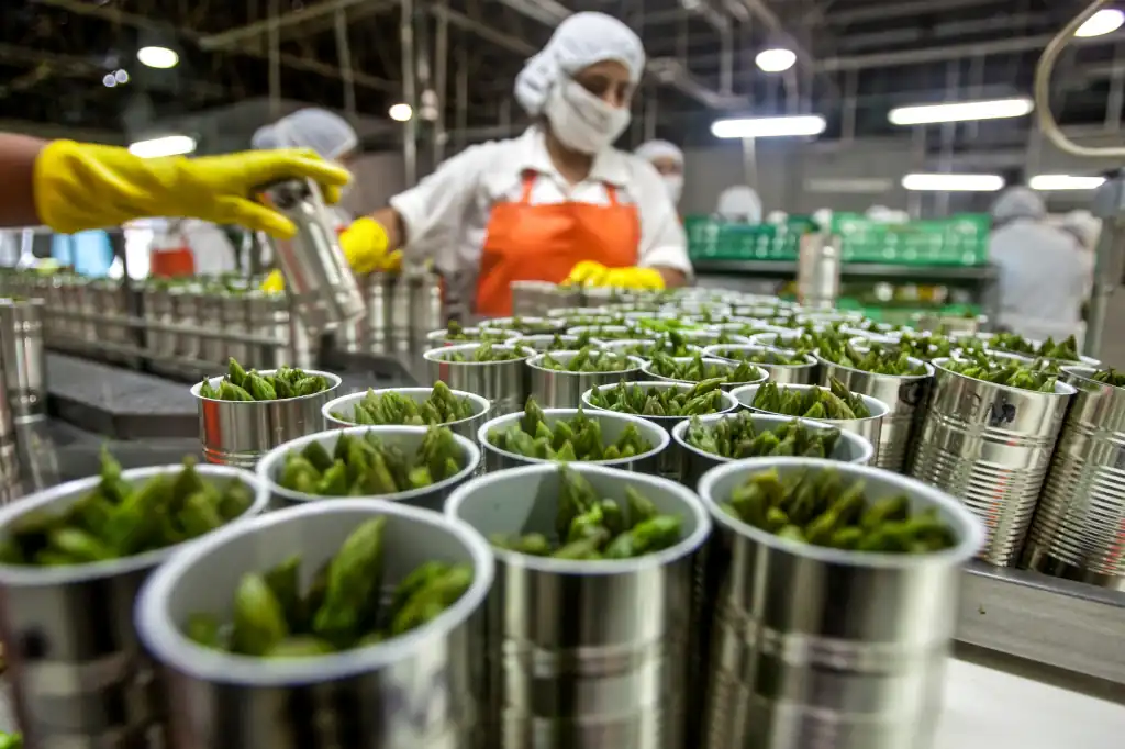 Daniel Madariaga Highlights the Impact of Artificial Intelligence on the Food Industry