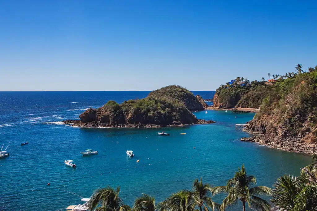 Daniel Madariaga Highlights the Natural Wealth of Jalisco