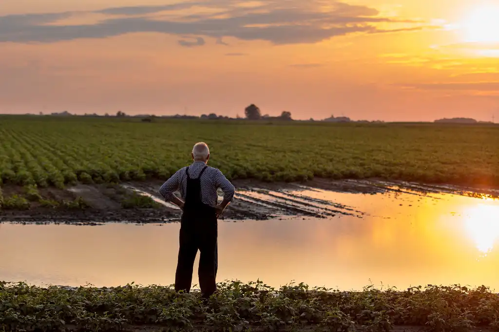 Daniel Madariaga highlights innovation as key to food security
