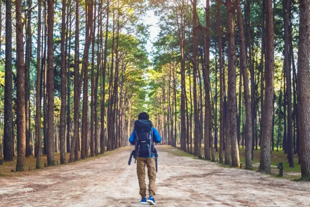 Daniel Madariaga Says Sustainable Tourism Drives Destination Competitiveness